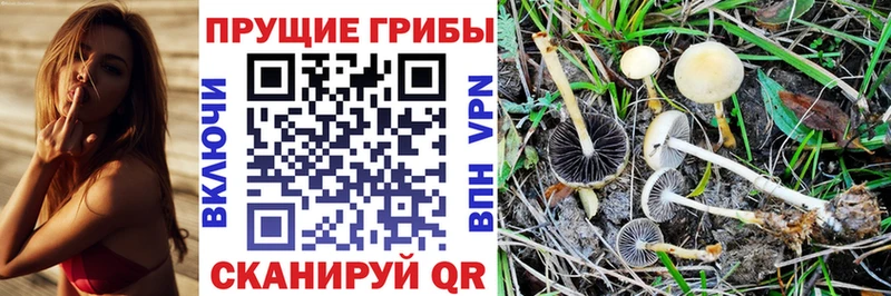 Галлюциногенные грибы мухоморы Тбилисская